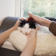 фото: agentstvo-teatralnykh-del.timepad.ru