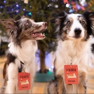 Фото: Максим Субботин