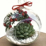 фото: vk.com/dendroparkekb