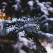 Топ-10 лучших событий в Екатеринбурге на выходные 16 и 17 ноября 2024 г. фотографии