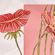 фото: vk.com/e_dkj