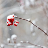 Топ-15 лучших событий в Екатеринбурге в выходные 15 и 16 ноября 2025 г. фотографии