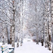 фото: дружба.екатеринбург.рф