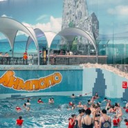 фото: limpopo-park.ru