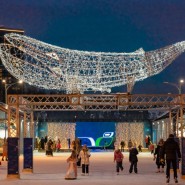 Каток «Северное сияние» в парке Маяковского 2024-25 фотографии