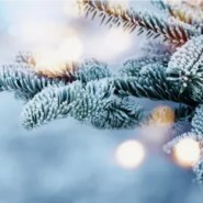 Бардовский фестиваль «Рождественские огни» фотографии