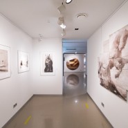 Выставка «Искусство как неизбежность» фотографии