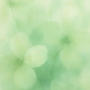 фото: sinara-center.com