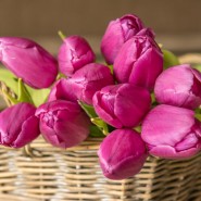 Топ-10 лучших событий в Екатеринбурге в выходные 7, 8 и 9 марта 2026 г. фотографии