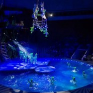 фото: aqua-circus.ru