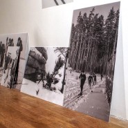 Выставка «Город цвета зимы» фотографии