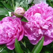 Топ-10 лучших событий в Екатеринбурге в выходные 20 и 21 июня 2026 г. фотографии