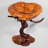 Выставка «Корнепластика» фотографии