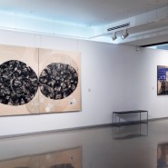 Выставка «Модулируя изменения» фотографии