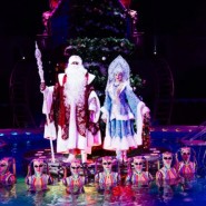 фото: aqua-circus.ru