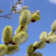 Топ-10 лучших событий в Екатеринбурге в выходные 4 и 5 апреля 2026 г. фотографии