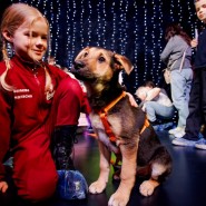 Фото: Максим Субботин