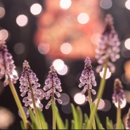 Топ-10 лучших событий в Екатеринбурге в выходные 18 и 19 апреля 2026 г. фотографии