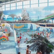 фото: limpopo-park.ru