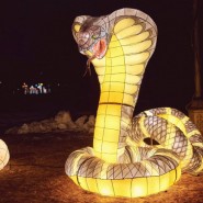 фото: fonarifest.ru