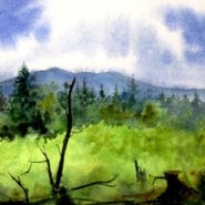 фото: book.uraic.ru