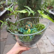 фото: vk.com/dendroparkekb