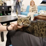 фото: agentstvo-teatralnykh-del.timepad.ru