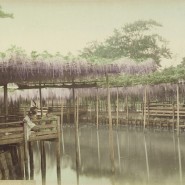 Выставка «Старинная японская фотография» фотографии