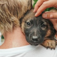 фото: zooekb.ru