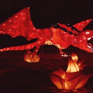 фото: fonarifest.ru