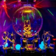 фото: aqua-circus.ru