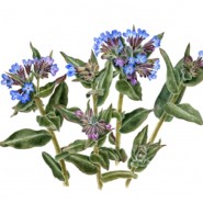 фото: uole-museum.ru