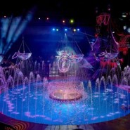 фото: aqua-circus.ru