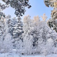 Топ-10 лучших событий Екатеринбурга на выходные 3 и 4 февраля 2024 года фотографии
