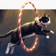 фото: vk.com/the_shopping_mall_grinvich