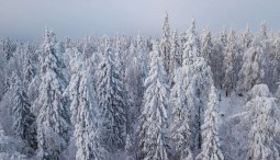 Выставка фотографа Егора Драничникова «Северные песни Урала».