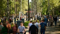 Международный фестиваль молодёжи в парке Маяковского - программа на 11 - 15 сентября 2026 г.