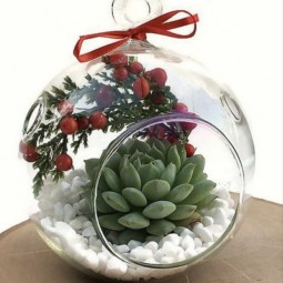 Афиша Дендропарка Екатеринбурга на 8 и 10 января 2026 г.