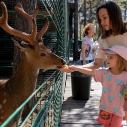 Зоопарк уникальных животных «Лесная Братва»
