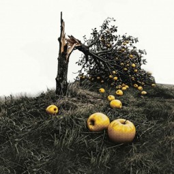 Спектакль «Все мои сыновья»