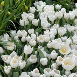 Топ-10 лучших событий в Екатеринбурге в выходные 28 и 29 марта 2026 г.