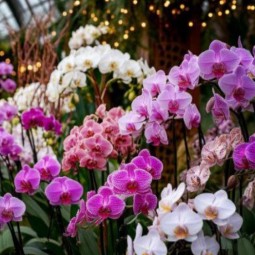 Топ-10 лучших событий в Екатеринбурге в выходные 28 февраля и 1 марта 2026 г.