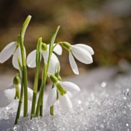 Топ-10 лучших событий в Екатеринбурге в выходные 14 и 15 марта 2026 г.