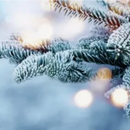 Бардовский фестиваль «Рождественские огни»