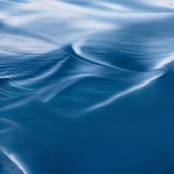 Выставка «Онтология синего»