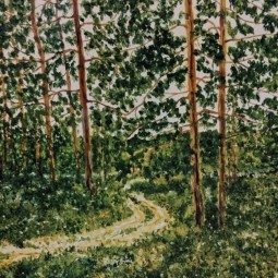 Выставка «Изобилие природы»