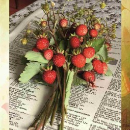 Выставка «Лето – это маленькая жизнь»