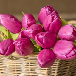 Топ-10 лучших событий в Екатеринбурге в выходные 7, 8 и 9 марта 2026 г.