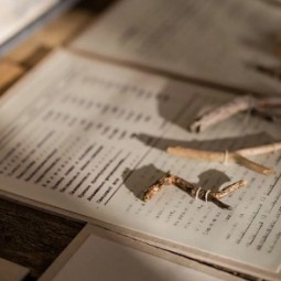 Выставка «Засушенному верить»