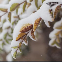 Топ-10 лучших событий в Екатеринбурге в выходные 8 и 9 ноября 2025 г.